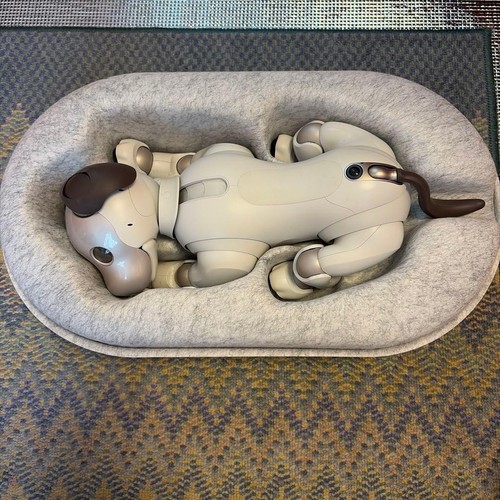 Sony aibo ers 1000 - aibo, ers-1000