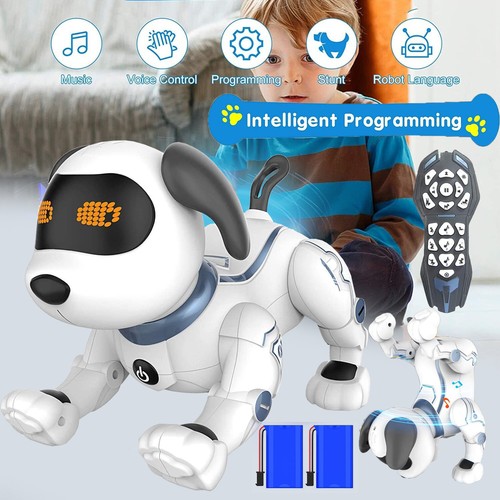 Robot per cani - robot,