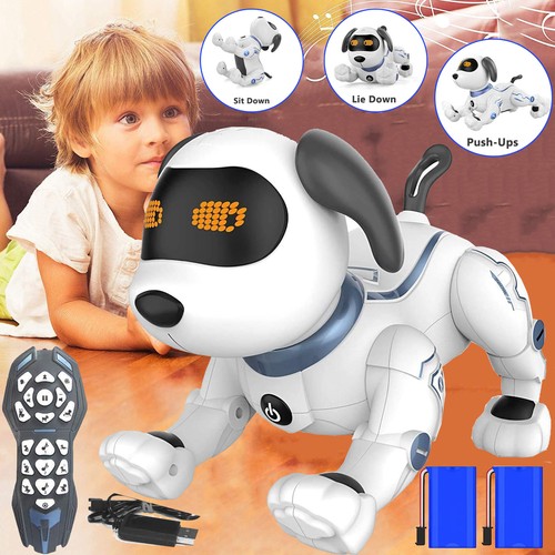 Robot cane per - robot,