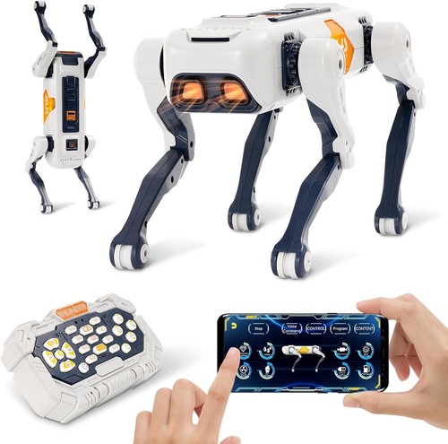 Robot programmabile giocattolo - programmabile,