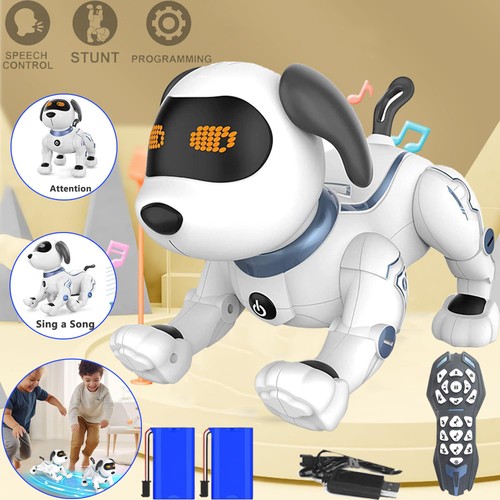 Robot telecomandato giocattolo - robot,