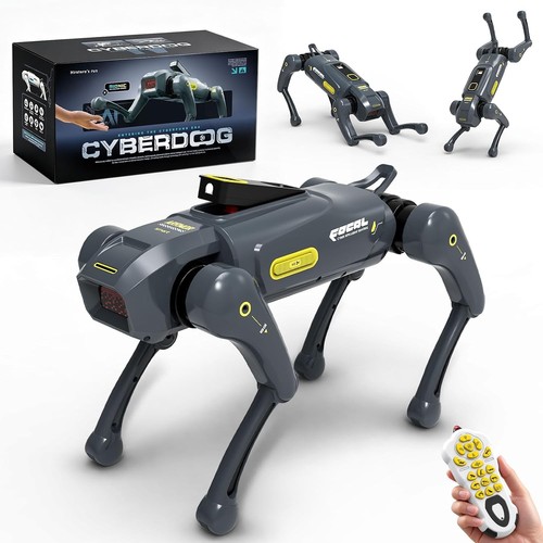 Yeshin robot cane - robot,