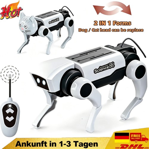 Robot radiocomandato 1 - 2,