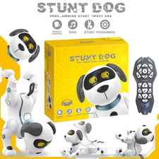 Robot Cane intelligente K16