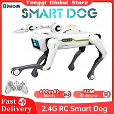 RC Smart Robot Cane