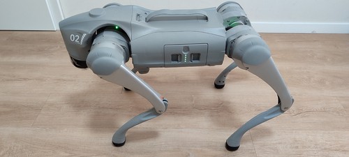 Unitree go2 air robot - air, cane
