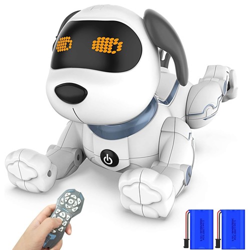 Robot telecomandato cane - robot,