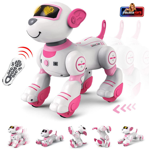 Cane robot radiocomandato - robot,