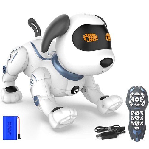 Cane robot radiocomandato - robot,