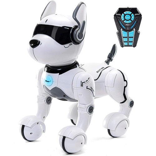 Cane robot radiocomandato - robot,
