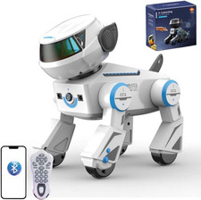RC Robot Cane per Bambini