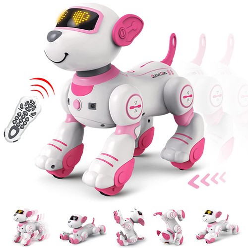 Cane robot radiocomandato - robot,