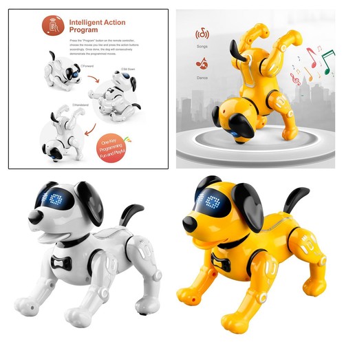 Giocattolo per cani robot