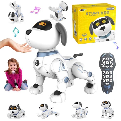 Robot telecomandato cane